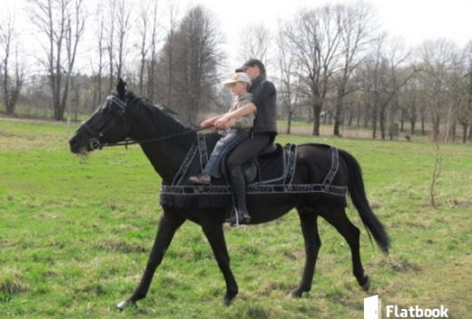 Несвижские Вытоки